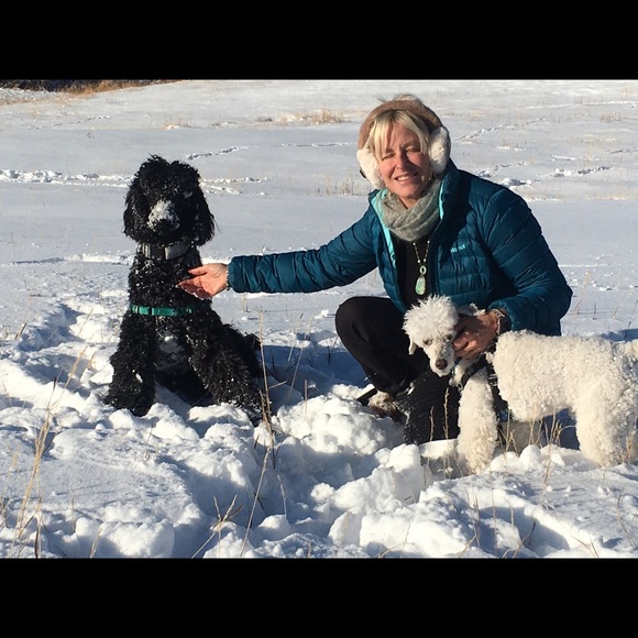 🌻Meet your Posher, Sammy - Picture 11 of 16